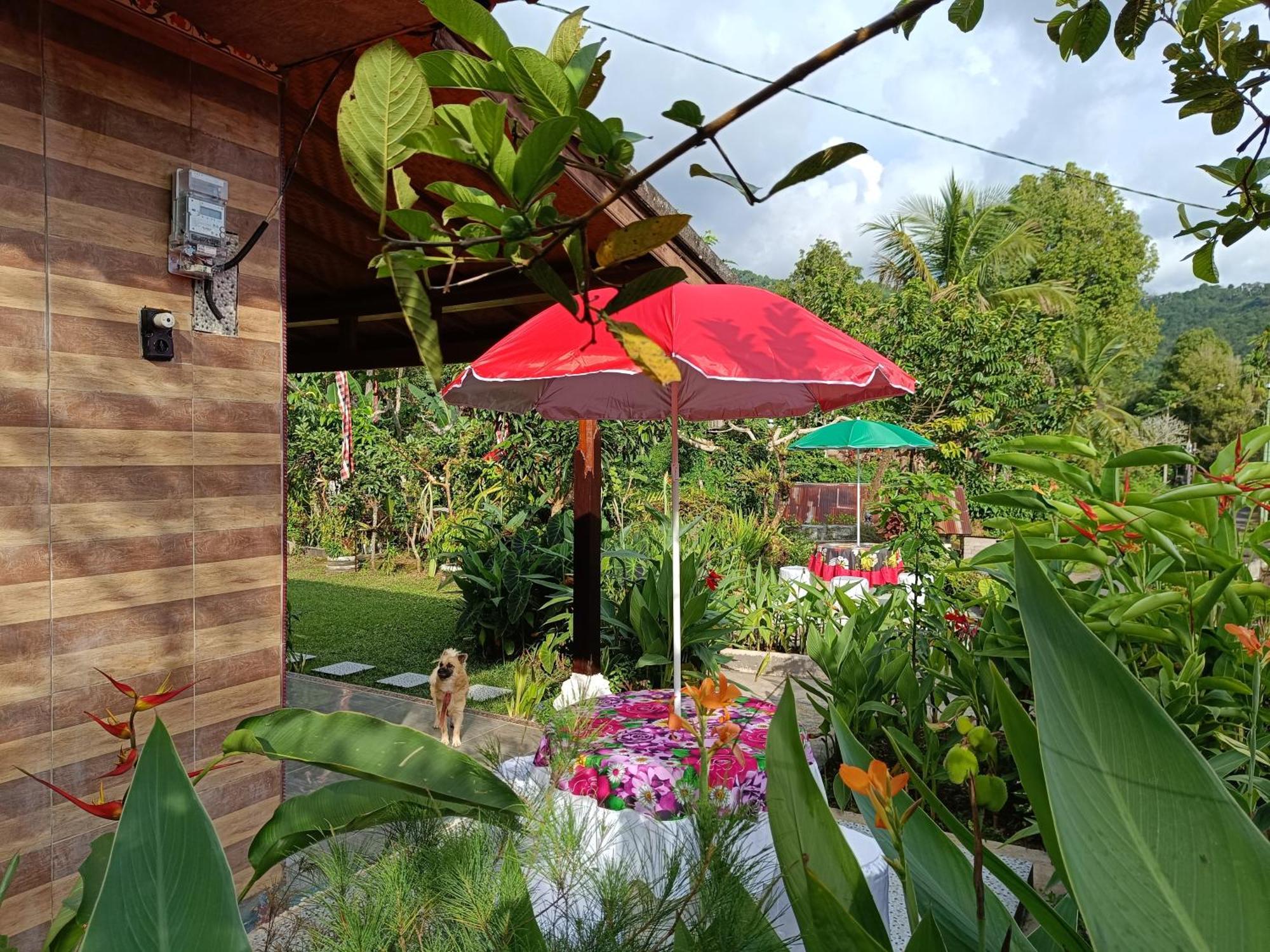 Gosela Bali Apartment Munduk  Exterior photo